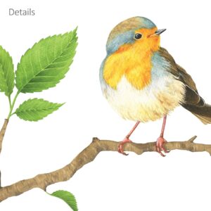 DECOWALL DS-8036 Garden Birds Kids Wall Stickers Wall Decals Peel and Stick Removable Wall Stickers for Kids Nursery Bedroom Living Room (Small) d?cor