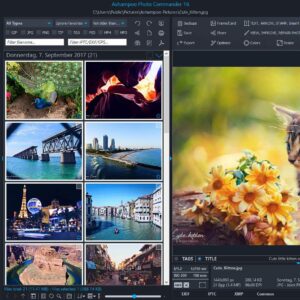 Photo Commander 16 - Photo Editing & Graphic Design Software for Windows 11, 10, 8.1, 7 - make your own photo collages, calendars and slideshows