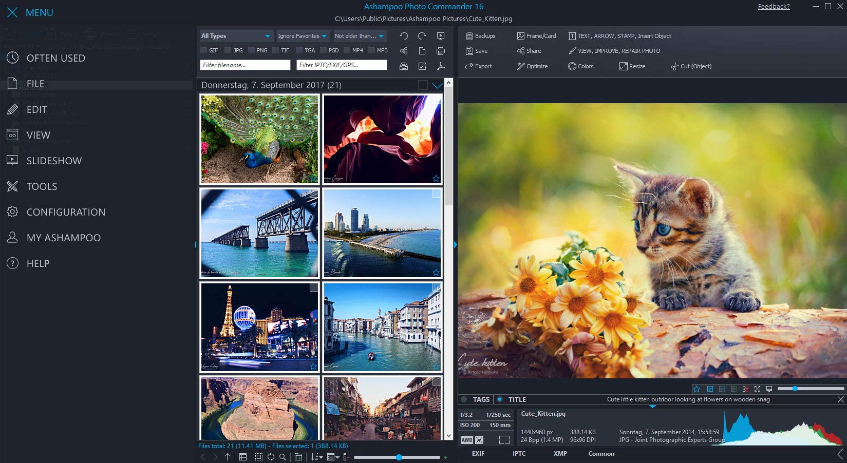 Photo Commander 16 - Photo Editing & Graphic Design Software for Windows 11, 10, 8.1, 7 - make your own photo collages, calendars and slideshows