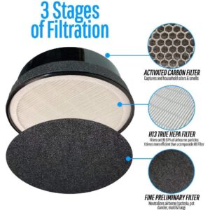 Flintar 3-in-1 H13 Grade True HEPA Replacement Filter, Compatible with GBlife and CISNO Home Air Purifier KJ65F-A1, and TCL Home Air Purifier KJ65F-A2, 2-Pack