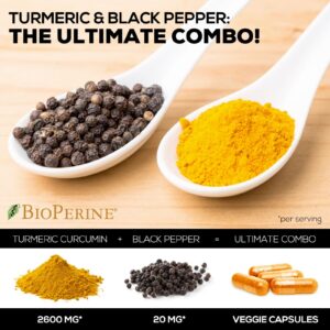 Turmeric Curcumin Supplement with BioPerine 95% Curcuminoids 2600mg with Black Pepper for Best Absorption, Bottled in USA, Best Natural Vegan Joint Support, Nature's Tumeric Capsules - 240 Capsules