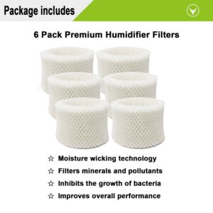 Lemige 6 Pack HC888 Series Filters C Compatible with HC-888, HC-888N, HC-888, HC-888N, HCM-890, HEV-320 Series, Compatible with Duracraft DCM-200, DH-890