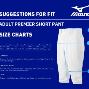 Mizuno Mens Premier Short Pant, Dark Charcoal, Medium US