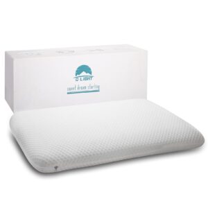 DLIGHT BD Slim 3.2" Stomach Sleeping Memory Foam Pillow-Thin, Flat, Soft Yet Supportative for Belly, Back& Stomach Sleepers