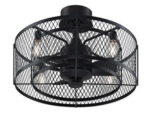 fanimation studio collection lp8350blaz vintere caged ceiling fan with led light kit, 20 inch, aged bronze