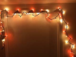 Harvest LED Fairy Lights Fall Mini Lights Amber Orange Golden Yellow Autumn Decor Fairy String Lights Indoor/Outdoor Halloween Parties Garden Patio Thanksgiving Fall Weddings 50 Lights 12 ft (1 Set)