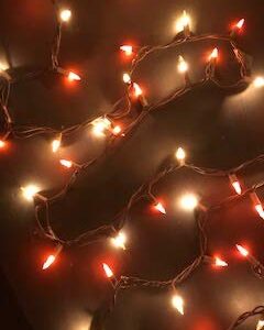 Harvest LED Fairy Lights Fall Mini Lights Amber Orange Golden Yellow Autumn Decor Fairy String Lights Indoor/Outdoor Halloween Parties Garden Patio Thanksgiving Fall Weddings 50 Lights 12 ft (1 Set)