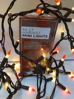 Harvest LED Fairy Lights Fall Mini Lights Amber Orange Golden Yellow Autumn Decor Fairy String Lights Indoor/Outdoor Halloween Parties Garden Patio Thanksgiving Fall Weddings 50 Lights 12 ft (1 Set)