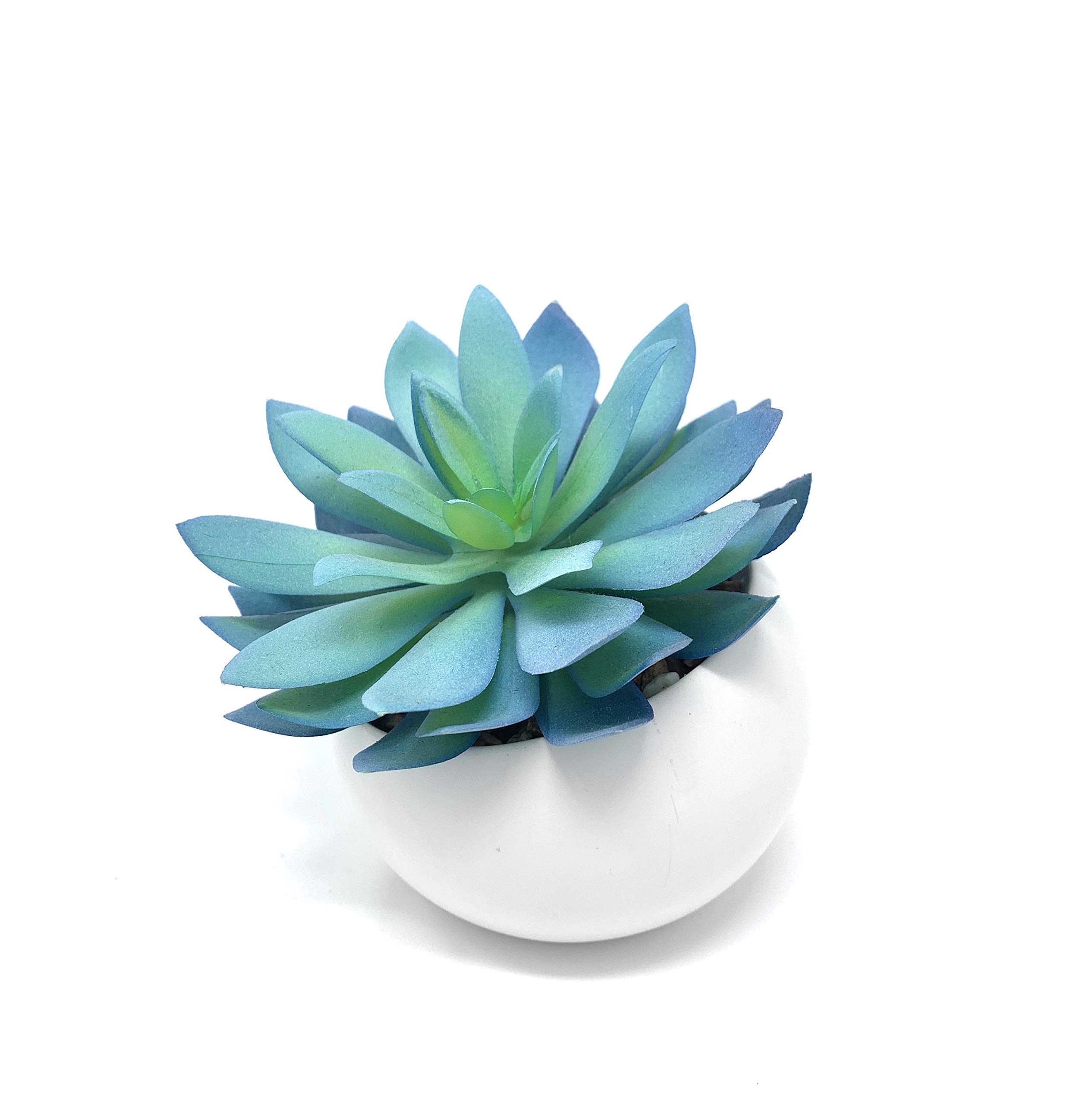 WERANDAH Artificial Faux Potted Mini Blue Succulent 4.5" | Indoor Table Top Bookshelf Dorms Home Office and Wedding Party Decor