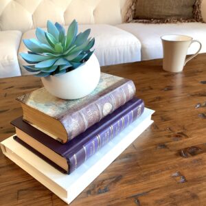 WERANDAH Artificial Faux Potted Mini Blue Succulent 4.5" | Indoor Table Top Bookshelf Dorms Home Office and Wedding Party Decor