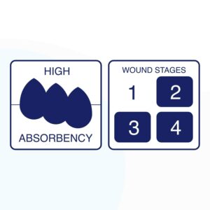 Bordered Silver Silicone Ag Sterile Absorbent Antibacterial Dressing, 4"x 4" (2.5"x 2.5" Pad), 5 dressings/Box, MedHeal by MedvanceTM