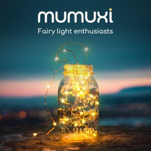 MUMUXI LED Fairy String Lights Battery Operated [20 Pack], 3.3ft 20 Mini Fairy Lights Powered Party Wedding Centerpiece Decorations Crafts Mason Jar Firefly Lights, Warm White