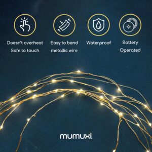 MUMUXI LED Fairy String Lights Battery Operated [20 Pack], 3.3ft 20 Mini Fairy Lights Powered Party Wedding Centerpiece Decorations Crafts Mason Jar Firefly Lights, Warm White