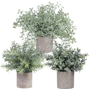 winlyn mini potted plants artificial flocked eucalyptus boxwood rosemary greenery in pots faux potted herbs small houseplants 8.8"-10" tall for indoor greenery tabletop décor centerpiece 3 pack