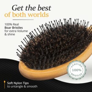 Belula Boar Bristle Hair Brush for Men Set.Styling Mens' Hair Brush with Nylon Pins. Boar Bristle Brush, 2 x Palm Brush, Wooden Comb & Travel Bag Included.