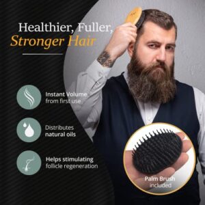 Belula 100% Boar Bristle Hair Brush for Men Set. Soft Hairbrush for Thin, Normal and Short Hair. Boar Bristle Brush and Wooden Comb for Men. Free 2 x Palm Brush & Travel Bag Included.