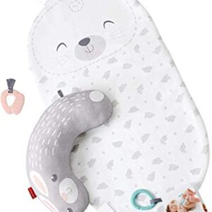 Fisher-Price Baby Bunny Massage Set, newborn playmat, tummy time wedge, and soothing massage guide for newborn babies from birth & up