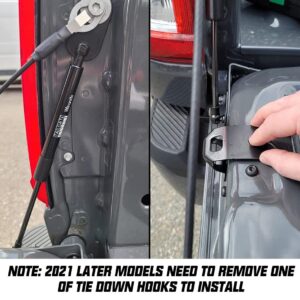 Winunite Compatible with 2015-2024 F150 Tailgate Assist Shock Truck Lift Assist Fits for Truck Tailgate Accessories Soft Open Easy Down(All Tools Provided)