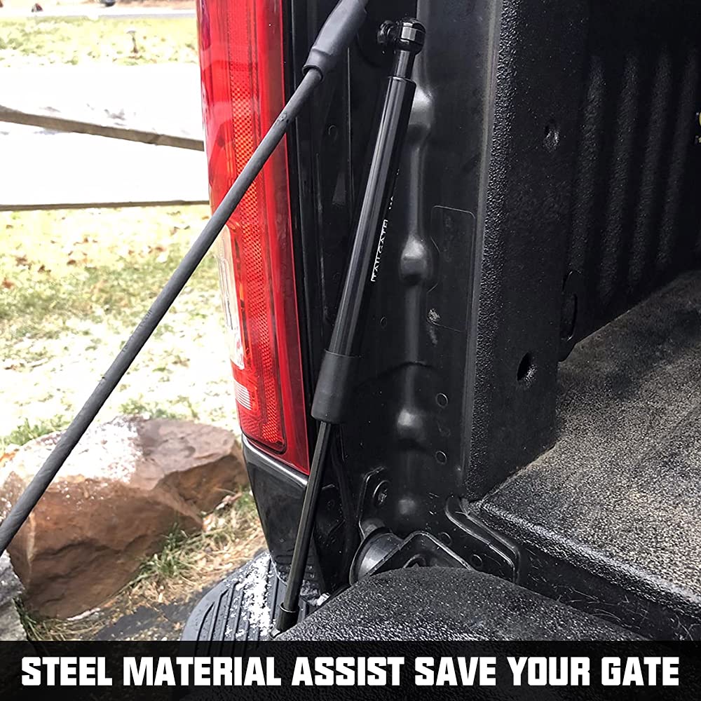 Winunite Compatible with 2015-2024 F150 Tailgate Assist Shock Truck Lift Assist Fits for Truck Tailgate Accessories Soft Open Easy Down(All Tools Provided)