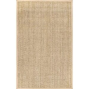 nuLOOM Hesse Checker Weave Seagrass Indoor/Outdoor Accent Rug, 3x5, Natural