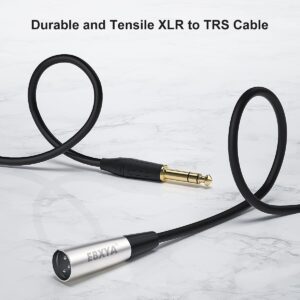 EBXYA 1/4" TRS to XLR Male Balanced Mic Microphone Cable 6ft, XLR to 6.35 Jack, 2 Packs