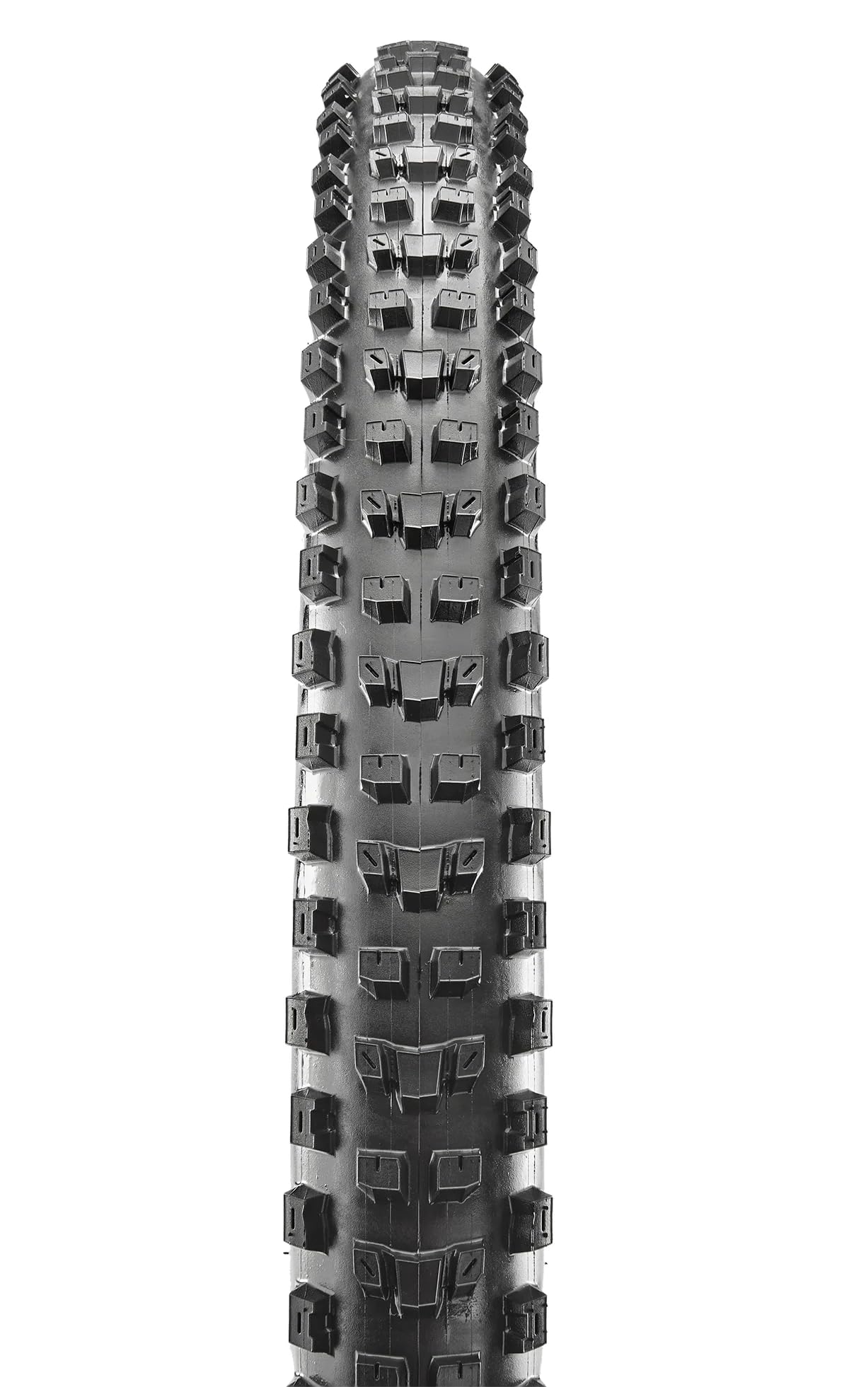 Maxxis Dissector 27.5 X 2.4 WT 60 TPI Folding 3C MaxxTerra EXO/TR