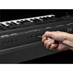 Yamaha PSRSX900 Arranger Workstation keyboard