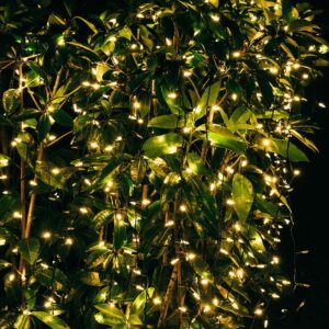 Twinkle Star 300 LED Christmas Mini String Lights, 99 FT Fairy Lights with Safe Adapter for Indoor Outdoor Home Garden Party Christmas Decoration, Warm White