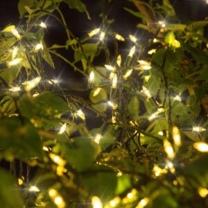 Twinkle Star 300 LED Christmas Mini String Lights, 99 FT Fairy Lights with Safe Adapter for Indoor Outdoor Home Garden Party Christmas Decoration, Warm White