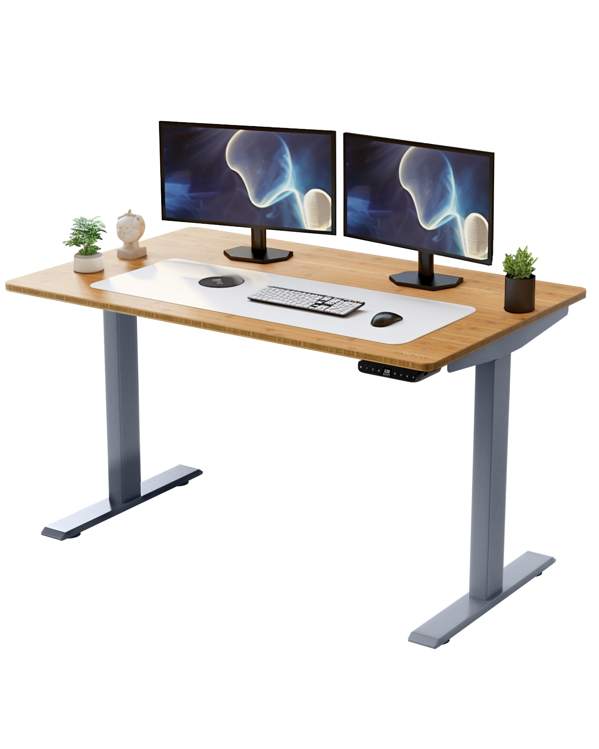 Rise UP Electric Standing Desk adjustable height desk 27-47" dual motor one piece 60x30" bamboo desktop height adjustable desk adjustable standing desk stand up desk sit to stand desk rising desk