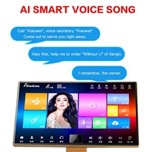 Karaoke Machine, All in One Karaoke Player, 22" Touch Screen YouTube Movie Song, Cloud Song Update, Wireless Mic KTV System