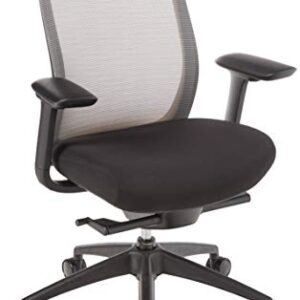 Eurotech Seating Vera Office Chair, Satellite