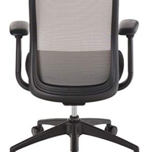 Eurotech Seating Vera Office Chair, Satellite