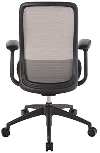 Eurotech Seating Vera Office Chair, Satellite