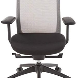 Eurotech Seating Vera Office Chair, Satellite