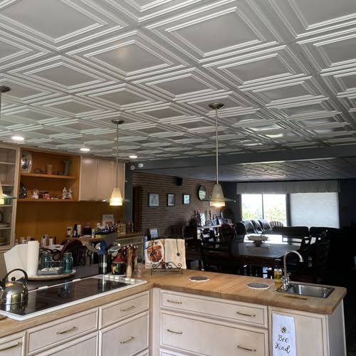 From Plain To Beautiful In Hours 232 Economy PVC Lay-in Ceiling Tile 2 ft. x 2 ft., White, 10 Pack