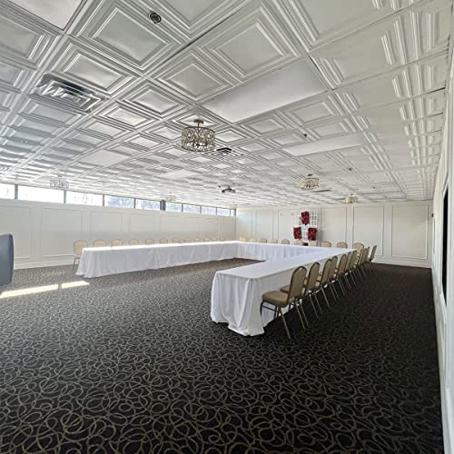 From Plain To Beautiful In Hours 232 Economy PVC Lay-in Ceiling Tile 2 ft. x 2 ft., White, 10 Pack