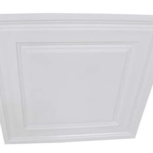 From Plain To Beautiful In Hours 232 Economy PVC Lay-in Ceiling Tile 2 ft. x 2 ft., White, 10 Pack