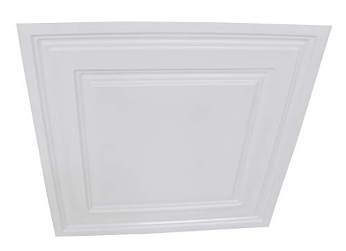 From Plain To Beautiful In Hours 232 Economy PVC Lay-in Ceiling Tile 2 ft. x 2 ft., White, 10 Pack