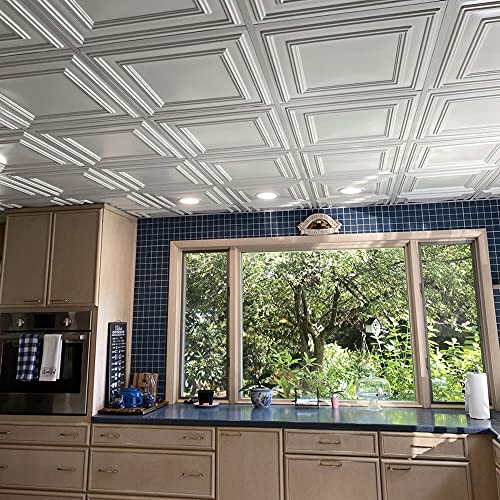 From Plain To Beautiful In Hours 232 Economy PVC Lay-in Ceiling Tile 2 ft. x 2 ft., White, 10 Pack