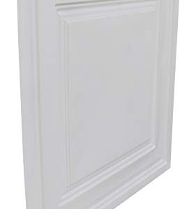 From Plain To Beautiful In Hours 232 Economy PVC Lay-in Ceiling Tile 2 ft. x 2 ft., White, 10 Pack