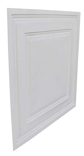 From Plain To Beautiful In Hours 232 Economy PVC Lay-in Ceiling Tile 2 ft. x 2 ft., White, 10 Pack