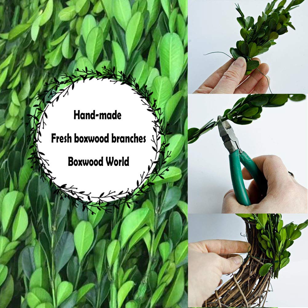 Boxwood Wreath X-Larger 22 inch Preserved Nature Boxwood Wreath Home Decor Stay Fresh for Years for Door Wall Window Party Décor Spring Summer Fresh Green Wreath