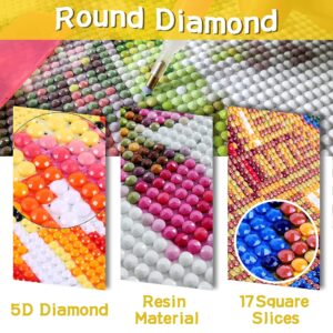 SKRYUIE 5D Santa Claus Diamond Painting Kit - DIY Diamond Art Christmas in July, Full Round Drill - Crystal Embroidery Cross Stitch - Adult Craft for Wall & Office Decor - 12x16 inch