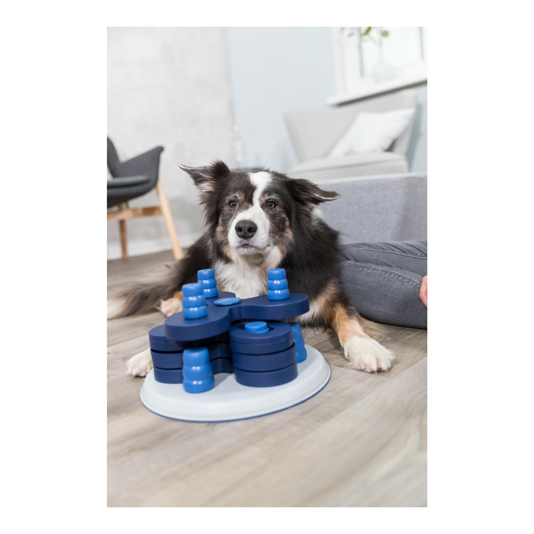 TRIXIE Flower Tower Strategy Game, Advanced Dog Puzzle Toy, Level 3 Activity, Treat Puzzle, Interactive Play, Enrichment Toy for All Dogs