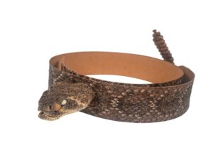 1.25" real texas western rattlesnake hat band with head & rattle - closed mouth (598-hb204c)