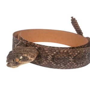 1.25" Real Texas Western Rattlesnake Hat Band with Head & Rattle - Closed Mouth (598-HB204C)