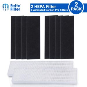 Fette Filter - Premium True Hepa H13 Replacement Filters Compatible with Fellows AeraMax 90/100 DX5 & DB5 Part # 40101701 9287001 9324001 Qty 2 True Hepa + 8 Carbon Filters.