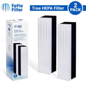 Fette Filter - Premium True Hepa H13 Replacement Filters Compatible with Fellows AeraMax 90/100 DX5 & DB5 Part # 40101701 9287001 9324001 Qty 2 True Hepa + 8 Carbon Filters.