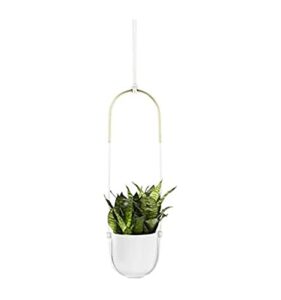 umbra bolo hanging planter